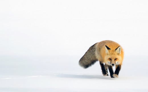 754257 (a): :2048x1280